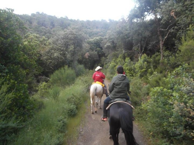  cavalgando 